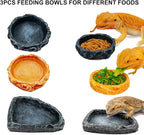 Bearded Dragon Tank Accessories Kit – 10pcs Reptile Water Food Bowl, Feeding Tongs with Rubber Tip, Grooming & Cleaning Set for Lizards, Geckos & Small Reptiles