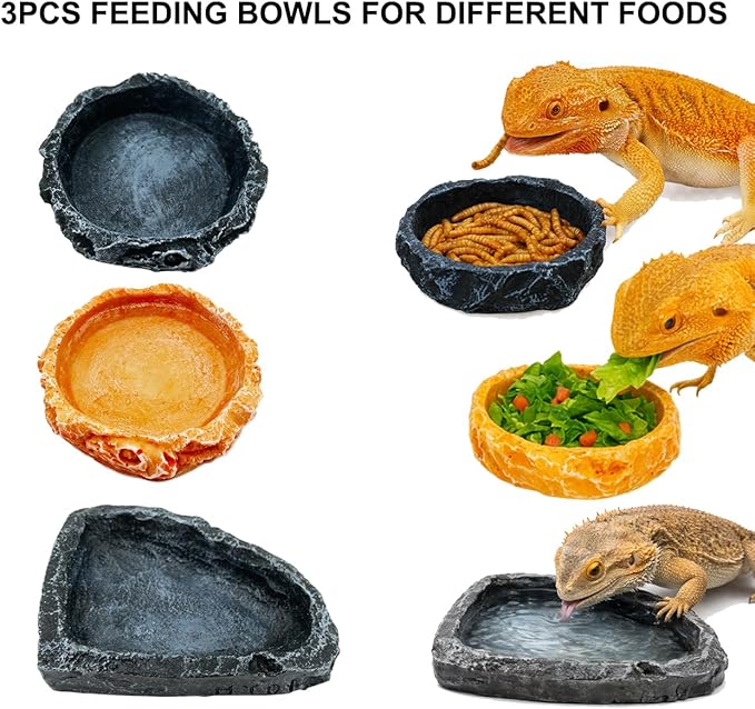 Bearded Dragon Tank Accessories Kit – 10pcs Reptile Water Food Bowl, Feeding Tongs with Rubber Tip, Grooming & Cleaning Set for Lizards, Geckos & Small Reptiles