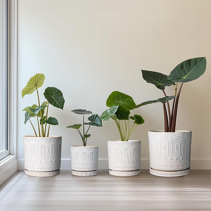 8 Inch Plant Pot, Ceramic Planter for Indoor Plants Outdoor, Round Planter with Drainage Hole and Tray, Boho Flower Pot, Decorative Pots for Plants, Home Decor, Plant Lover Gifts, White