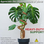 2 Pack 48'' Bendable Moss Pole for Monstera & Pothos - Tall Handmade Coco Coir Plant Support Stakes for Large Climbing Indoor Plants, Potted Houseplant Trellis Accessories