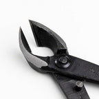 Wazakura Japanese Bonsai Tool Kit Made in Japan - Satsuki Scissors 7inch(180mm) + Concave Branch Cutter 8inch(200mm) Gift Box Set