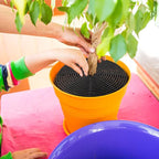 Newtay 4 Pcs Plant Pot Grid Soil Protector Covers Cuttable Flower Protector from Animals Cat Squirrel Digging Stopper Plant Pot Cover with Stake for Indoor Outdoor Gardening (20.5 +11.8 Inch,Black)