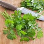 Bonnie Plants Flat Italian Parsley Live Herb Plants - 4 Pack, Biennial, Non-GMO, Garnish, Seasoning, Salads, Palate Cleanser