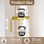 LASZOLA Plant Hangers Shelves Wall Mounted Indoor, Metal Window Plant Holders, 2Pcs Modern Floating Flower Display Stand with 2 Hooks for Outdoor Kitchen Bathroom Decor, Gold