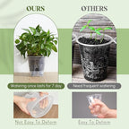 Wonderjune Self Watering Pots for Indoor Plants with Deep Reservoir and High Drainage Holes for Outdoor Plants and Flowers, Bare Root Planter(5.91'',Clear,6 Pcs)