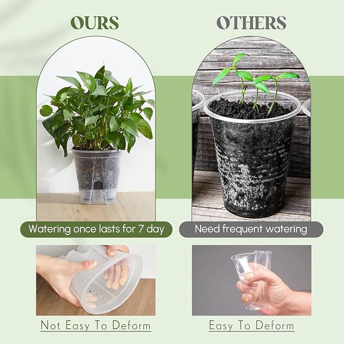 Wonderjune Self Watering Pots for Indoor Plants with Deep Reservoir and High Drainage Holes for Outdoor Plants and Flowers, Bare Root Planter(5.91'',Clear,6 Pcs)