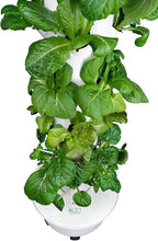 GX Hydroponic Tower | Vertical Planter Tower | Hydroponics Growing System Kit | Food Grade with 24 Net Pots (Without Lights)