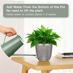 QCQHDU Self Watering Hanging Pots, 2 Pack 7.2 Inch Hanging Planters for Plants Indoor, Flower Pots with Drainage Holes and 3 Hooks Chains for Garden Home (Gray)