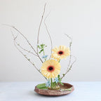 Wazakura Minoyaki Series Round Ikebana Flower Vase Made in Japan, Arrangement Pottery Supplies - Lily Pad