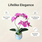 Artificial Orchid with 3D Printed Vase, Lifelike Fake Phalaenopsis Orchid Flowers, Realistic Silk Orchids for Home Decor Living Room, Deep Purple