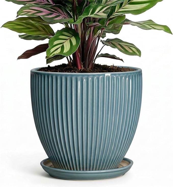 6 Inch Plant Pot Indoor, Ceramic Pots for Snake Succulent Plants, Decorative Round Flower Pots with Drainage Hole and Saucer, Modern Planter, Bookshelf Decor, Gifts for Men Women, Glaze Blue