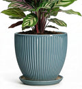 6 Inch Plant Pot Indoor, Ceramic Pots for Snake Succulent Plants, Decorative Round Flower Pots with Drainage Hole and Saucer, Modern Planter, Bookshelf Decor, Gifts for Men Women, Glaze Blue