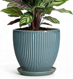 6 Inch Plant Pot Indoor, Ceramic Pots for Snake Succulent Plants, Decorative Round Flower Pots with Drainage Hole and Saucer, Modern Planter, Bookshelf Decor, Gifts for Men Women, Glaze Blue