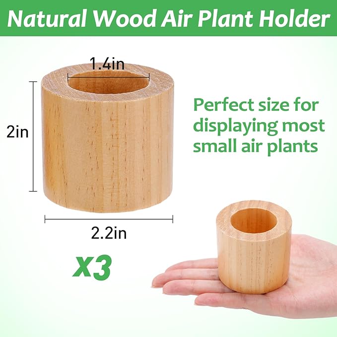 Bigmeta 3 Pcs Wood Air Plant Holder, 1.4" Rustic Style Airplant Display Stands for Women Gifts