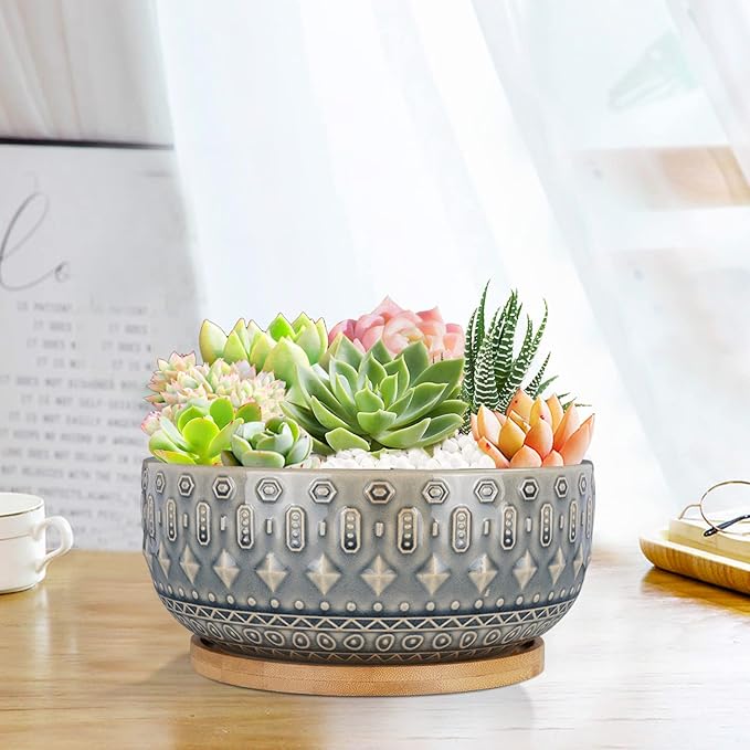 8 Inch Ceramic Succulent Planter Pots with Drainage Hole Flower Pot for Indoor Plants Round Shallow Bonsai Pot with Bamboo Tray Blue