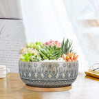 8 Inch Ceramic Succulent Planter Pots with Drainage Hole Flower Pot for Indoor Plants Round Shallow Bonsai Pot with Bamboo Tray Blue