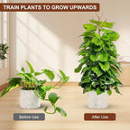 PERSZEN 6 Pack Stackable Monstera Plant Support, Plant Stakes for Indoor and Outdoor Plants Use, Garden Stakes for Climbing and Potted Plants, Pothos, Philodendron, Brown