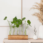YIBOT Propagation Stations, Plant Terrarium with Wooden Stand, 5 Glass Test Tubes Vases, Birthday Gardening Gifts for Women Mom Plant Lovers, Home Office Desk Decor