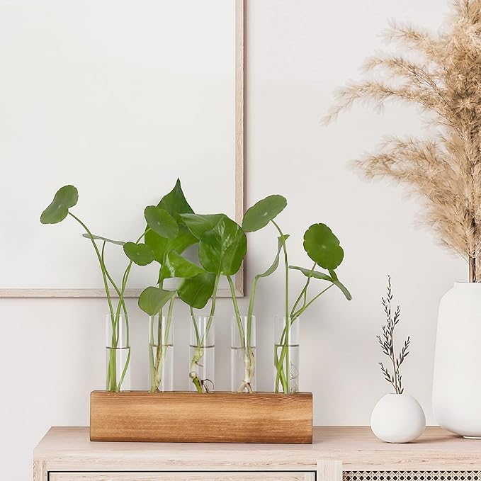 YIBOT Propagation Stations, Plant Terrarium with Wooden Stand, 5 Glass Test Tubes Vases, Birthday Gardening Gifts for Women Mom Plant Lovers, Home Office Desk Decor