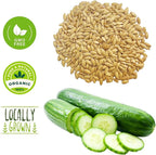 250+ Organic Marketmore Cucumber Seeds – Premium Heirloom Seeds – Perfect for Gardens, Raised Beds & Containers – Crisp, Delicious & Non-GMO – USA Grown (Cucumis sativus)