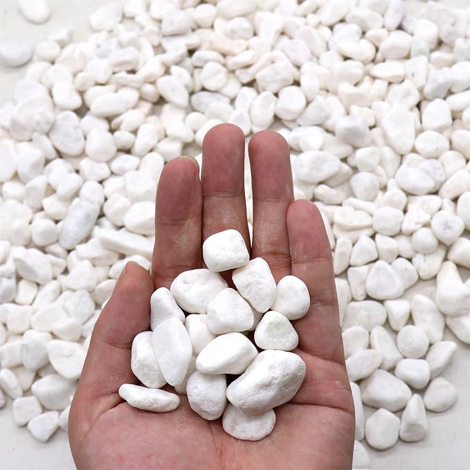 Rocks for Plants. White Decorative Pebbles. 0.5 to 1 Inch 18 lbs. for Garden, Landscaping, Indoor, Vase fillers, Crafting, Succulents, pots, Plants