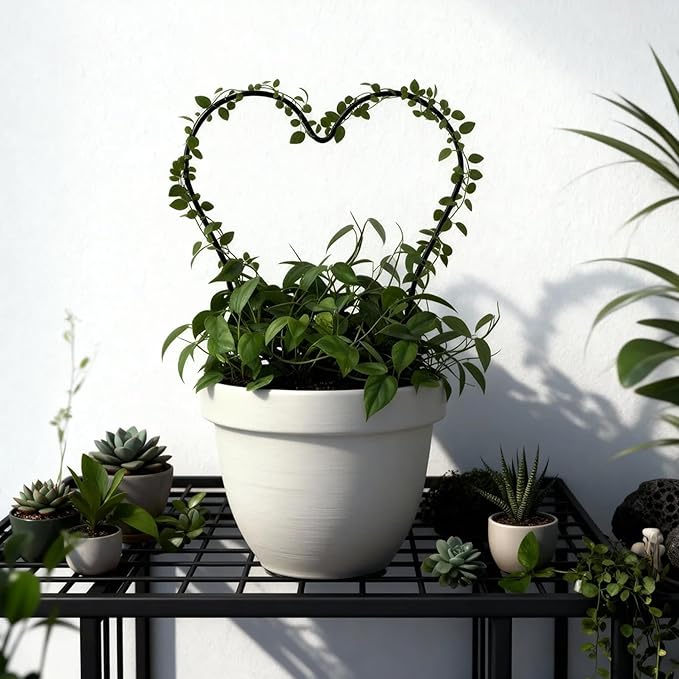 Trellis for Potted Plants, Small House Plant Support, Indoor Plant Trellis for Climbing Plants (Circle and Heart Shape)