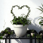 Trellis for Potted Plants, Small House Plant Support, Indoor Plant Trellis for Climbing Plants (Circle and Heart Shape)