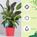 Pinkunn 36 Pcs Plant Watering Globes Plastic Self Watering Bulbs Automatic Plant Watering Devices Self Watering Planter Insert Small Plant Waterer for Garden Indoor and Outdoor Plants Flowers (Blue)