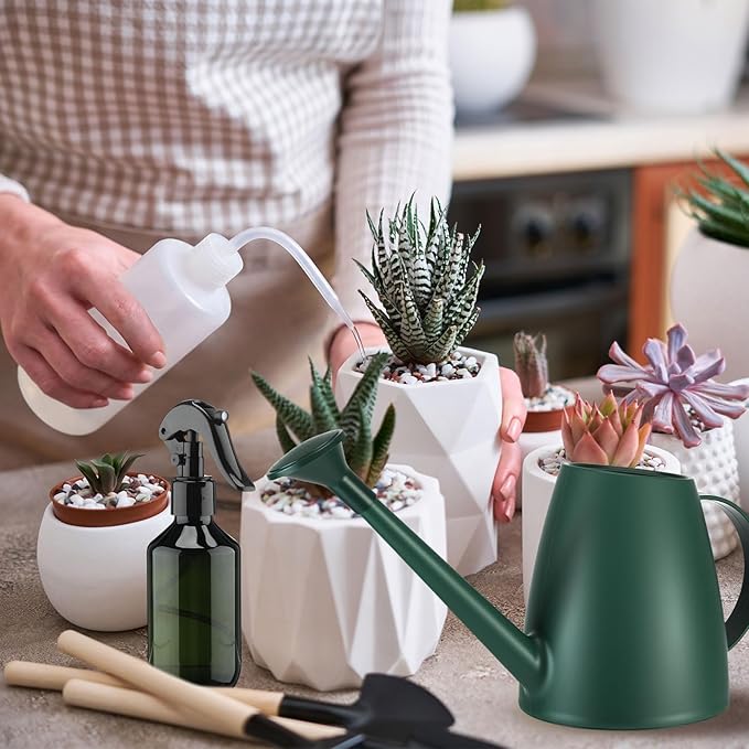 Reallnaive 6 Pcs Indoor Watering Can Set 1/2 Gallon Can 6.8 oz Spray Bottle 17 oz Squeeze Bottle Plant Watering Globes Soil Moisture Meter Small Spraying Set for Indoor Outdoor Plants (Dark Green)