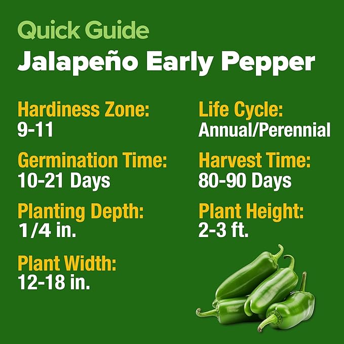 HOME GROWN Jalapeno Pepper Seeds 258+ Heirloom Non-GMO Seeds for Planting, High Germination, Mild to Medium Heat Hot Peppers, Heavy Producer, Perfect for Salsa & Pickling (Capsicum annuum)
