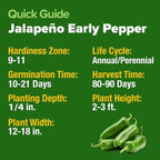 HOME GROWN Jalapeno Pepper Seeds 258+ Heirloom Non-GMO Seeds for Planting, High Germination, Mild to Medium Heat Hot Peppers, Heavy Producer, Perfect for Salsa & Pickling (Capsicum annuum)