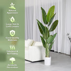 Artificial Tree 6.6Ft Silk Bird of Paradise Large Big Fake Potted Plants Tall Faux Silk Floor Plants for Home Living Room Bedroom Office Decor Indoor Outdoor…