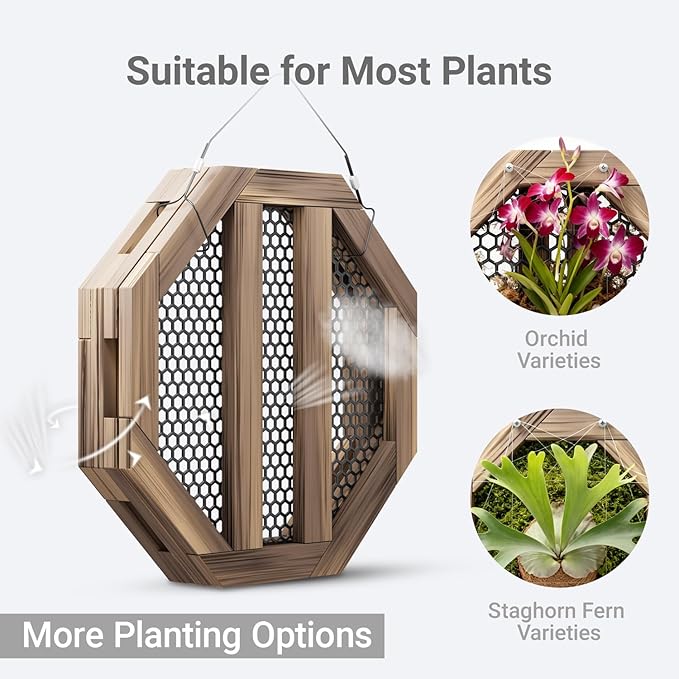 12.8 Inches Staghorn Fern Mounting Kit Orchid Mounting Wood Hanging Plant Frame Wall Planter Plant Holder Basket for Orchids Staghorn Fern Tropical Plants (325x325x60mm)