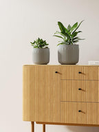 LE TAUCI Ceramic Pots for Plants, 8.3/7/6 Inch Indoor Planters with Drainage Holes & Mesh, Modern Glossy Glaze Cylinder Fluted Plant Pot for Snake Plant, Set of 3, Mist Gray