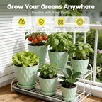 Plant Pots, Self Watering Planters with Drainage Holes and Trays, Flower Pots for Indoor Outdoor - 6 Pack(4/5/6/6.5/7/8 Inch) (Light Green)