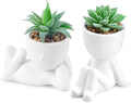 Der Rose 2 Pack Fake Plants Succulents Plants Artificial for Living Room Home Bathroom Office Decor
