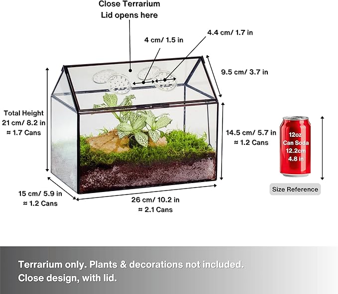 NCYP Glass Terrarium with Lid and Air Holes for Snails - 10.2" x 5.9" x 8.2" House Shape Geometric Clear Terrarium, Indoor Tabletop Decor Black (Plants Not Included)