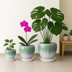 Deep Dream 10 Inch Plant Pot- Ceramic Planter Pot Round Plant Pots for Indoor Plants Outdoor Large Flower Pot with Drainage Holes & Trays, White&Green