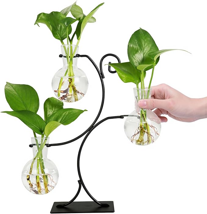 Renmxj 2026 New Desktop Plant Propagation Stations, Plant Terrarium with Metal Stand, 3 Bulb Glass Propagation Vases for Hydroponic Plants, Home Office Decor Planter Gardening Gifts for Women