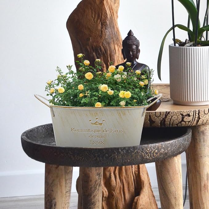 TOYANDONA Iron Flower Pot Vintage Rustic Flower Planter for Home Decor Decorative Iron Bucket Antique Centerpiece