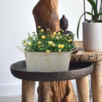 TOYANDONA Iron Flower Pot Vintage Rustic Flower Planter for Home Decor Decorative Iron Bucket Antique Centerpiece