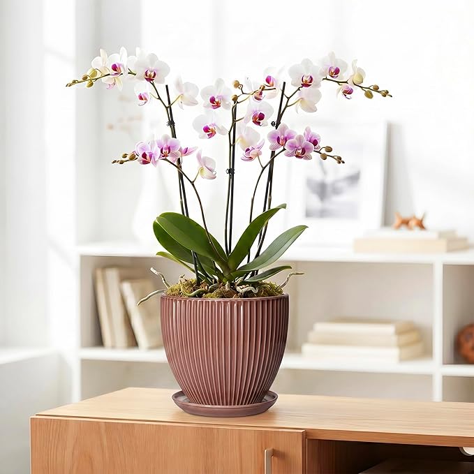 8 Inch Ceramic Flower Pots, Plant Pots Indoor with Drainage Hole and Saucer, Round Flower Pot for Indoor Plants, Decorative Modern Planter, Garden House Decor, Gardening Gifts, Rust Red