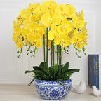 FagusHome 32 Inch Artificial Phalaenopsis Flowers 6 Pcs Artificial Orchid Flowers Stem Plants for Home Décor (Yellow)
