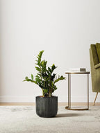 LE TAUCI Ceramic Pots for Plants, 8.3/7/6 Inch Indoor Planters with Drainage Holes & Mesh, Modern Glossy Glaze Cylinder Fluted Plant Pot for Snake Plant, Set of 3, Dark Olive