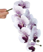 FagusHome 32 Inch Artificial Phalaenopsis Flowers 6 Pcs Artificial Orchid Flowers Stem Plants for Home Décor (Purple Core)