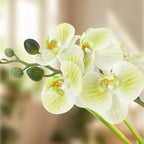 Garvee Real Touch Silk Phalaenopsis Orchid Artificial Flowers - 3 Stems Faux Orchid Bough with Vase, Lifelike Large Fake Flowers in Pot for Home Decor Living Room Bedroom Office Tabletop