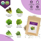Salad Greens Seed Pod Kit for AeroGarden, iDoo, Ahopegarden, MUFGA with Red/Green Romain/American Fast/Buttercrunch/Parris Island Lettuce, Spinach - Compatible with All Garden(8-Pod)