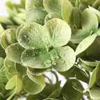 Coferset Lime Green Hydrangea Artificial Flowers 3pcs Lifelike Faux Hydrangea Real Touch Fake Flowers for Home Wedding Office Party Living Room Decoration,22inch