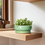 Succulent Pots 6 Inch - Ceramic Bonsai Pots for Indoor Outdoor, Shallow Ceramic Planters with Drainage Hole and Saucer, Round Small Bonsai Tree Pot, Home Decor, Plant Lover Gift, Light Green