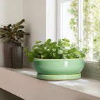 Large Bonsai Pots - 13 Inch Ceramic Succulent Pots for Indoor Outdoor, Ceramic Planter with Drainage Hole and Saucer, Shallow Round Planter, Garden Decor, Gifts for Women Men, Light Green
